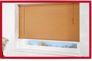 Plants: image 1 0f 4 thumb